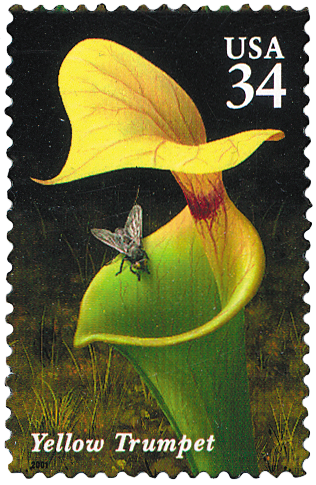 2001 34¢ Carnivorous Plants - Yellow Trumpet Mint Single