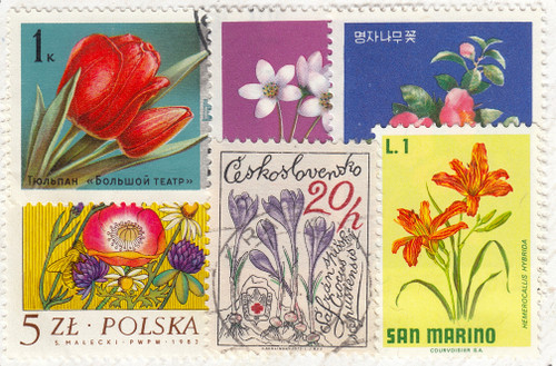 Explorer® Worldwide Beginner Postage Stamp Album