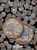 H.E. Harris® Coin Folder - Buffalo Nickels: 1913-1938