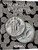 H.E. Harris® Coin Folder - Standing Liberty Quarters: 1916-1930