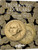H.E. Harris® Coin Folder - U.S. Presidential Dollars Collection #2: Starting 2012