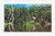 2025 (73¢) Appalachian Trail Mint Sheet of 15