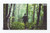2025 (73¢) Appalachian Trail Mint Sheet of 15