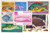 Fish & Sea Life Postage Stamp Packet - 50 Different Worldwide Stamps