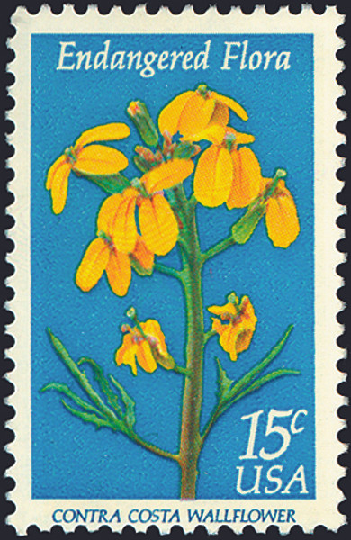 1979 15¢ Wallflower Mint Single