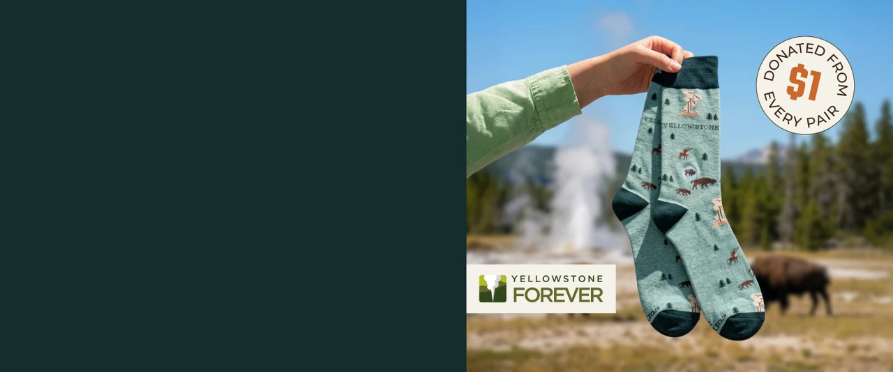Yellowstone socks with buffalo, geyser, trees.