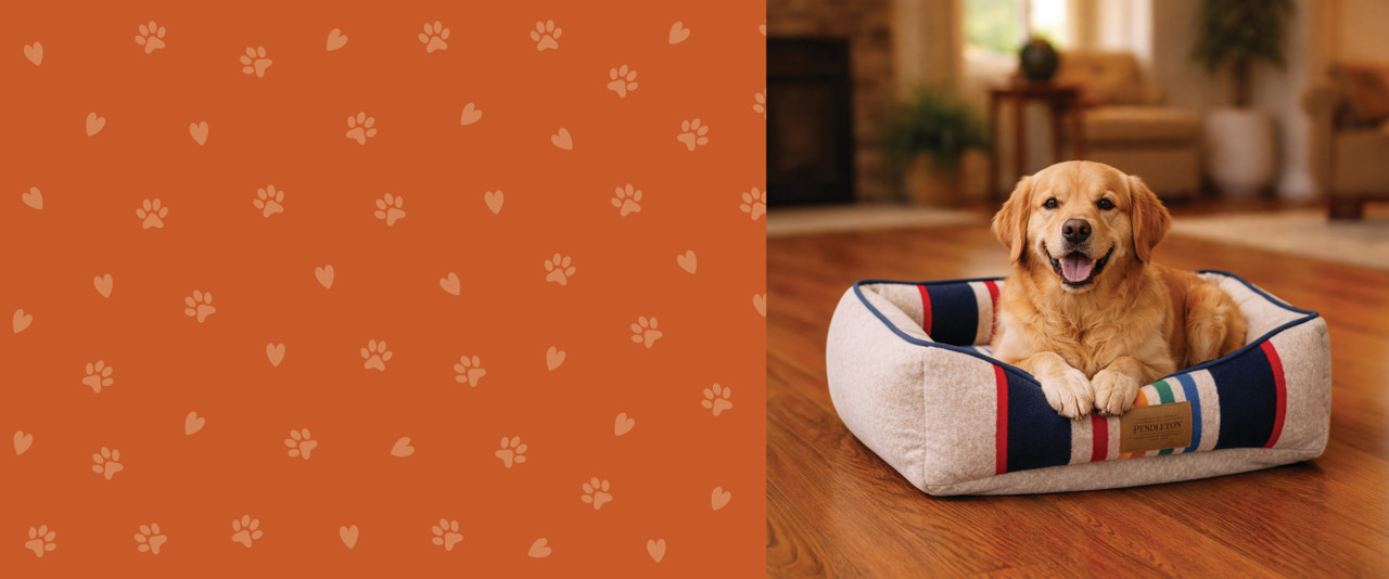 Golden retreiver laying on a Pendleton pet bed in a home setting.