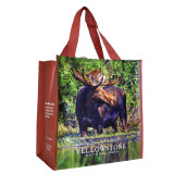 Yellowstone Moose & Lower Falls Reusable Bag (3)