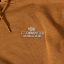 Carhartt Yellowstone Hoodie Brown (2)