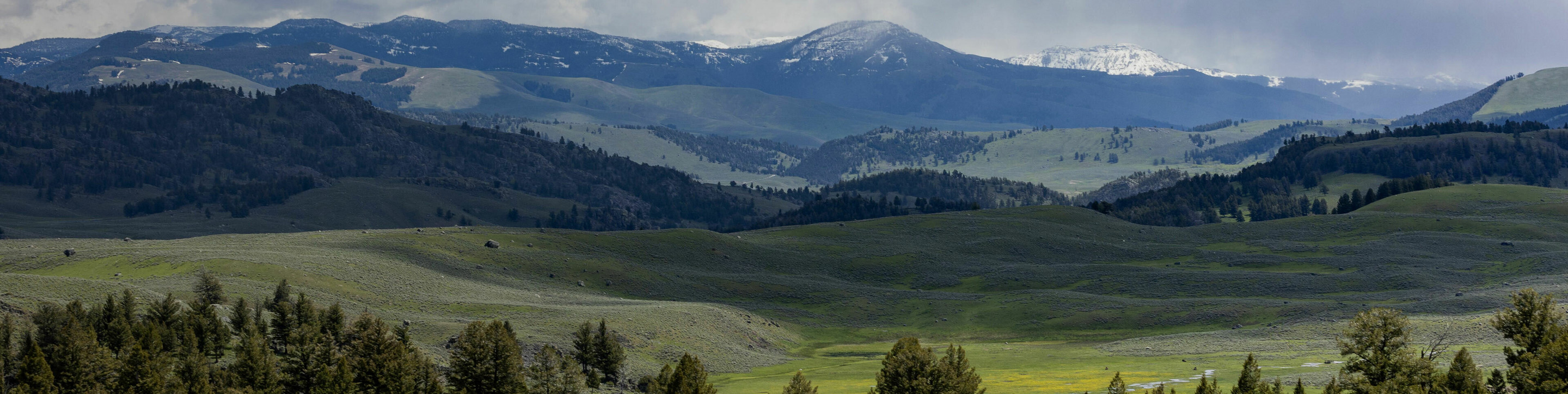 Shop Home Décor - Yellowstone General Stores