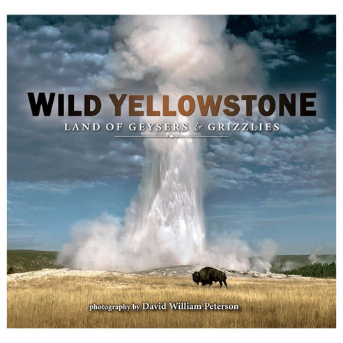 Wild Yellowstone: Land Of Geysers & Grizzlies Book