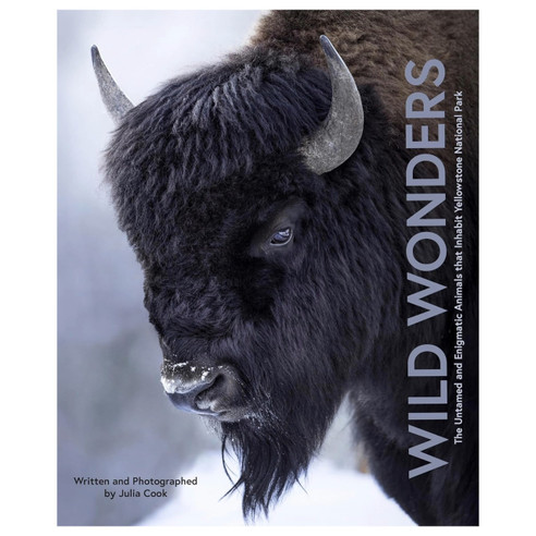Wild Wonders: The Untamed and Enigmatic Animals that Inhabit Yellowstone National Park