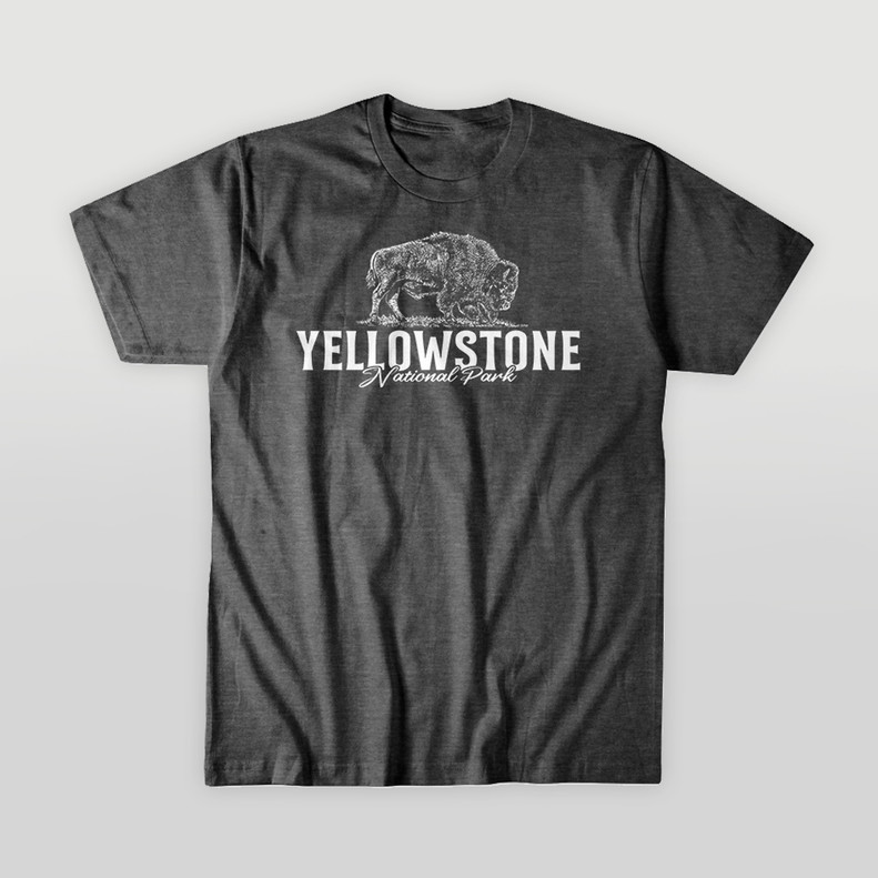 TEE MIX MATCH YELLOWSTONE ONWARD BUFFALO CHARCOAL