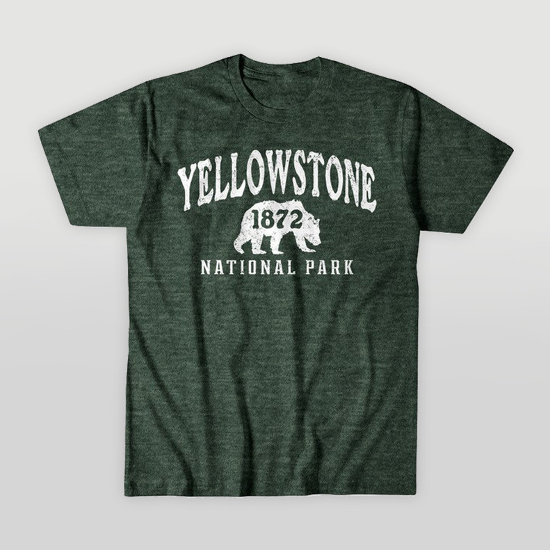 TEE MIX MATCH YELLOWSTONE ISOLATED GRIZZLY FOREST
