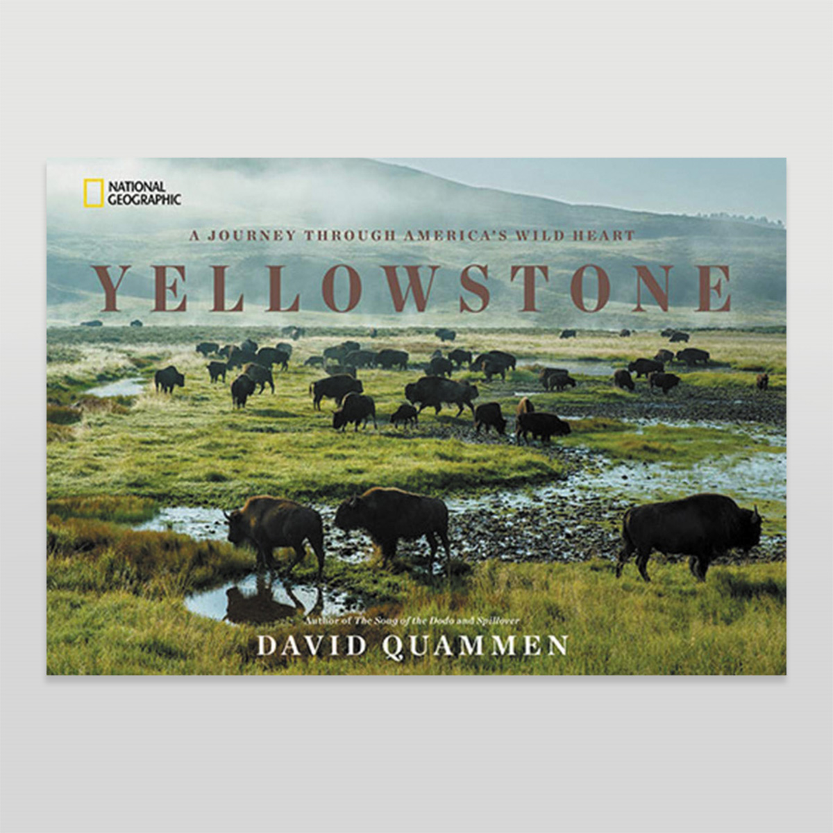 Book Yellowstone: A Journey Through America's Wild Heart