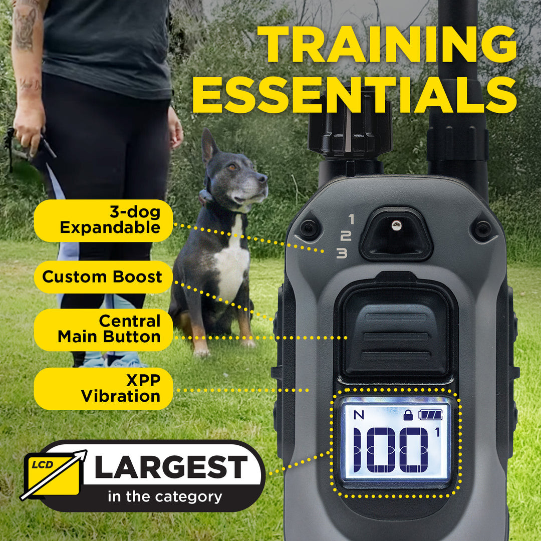 Dogtra 280X Remote Training Collar - Main Image