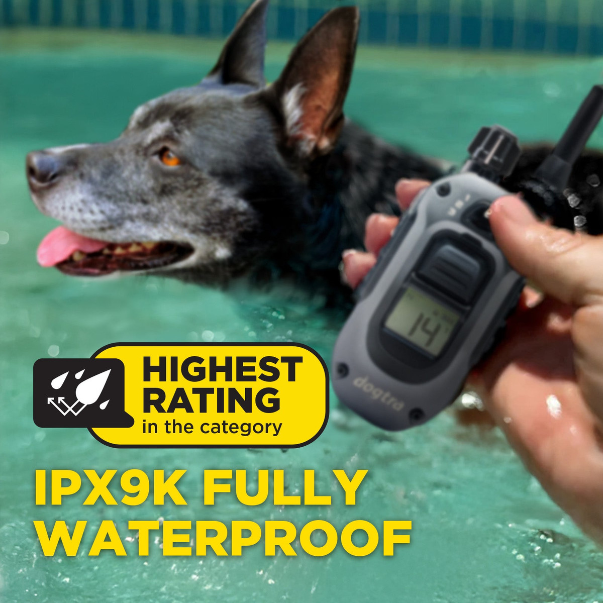 Dogtra 280X IPX9K waterproof remote training collar used in water