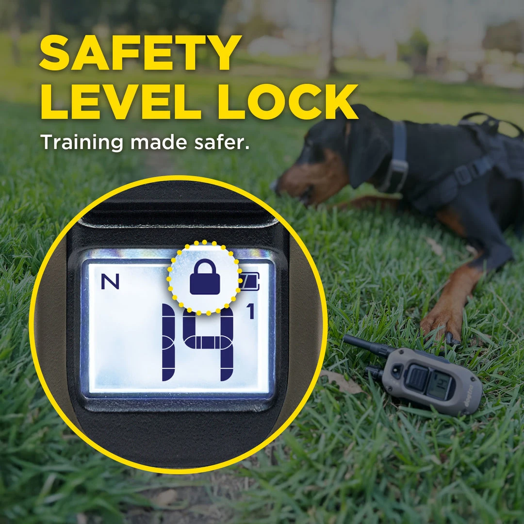 Dogtra 1900X safety level lock screen