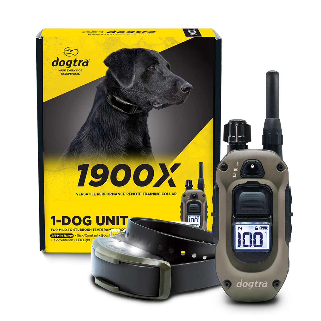 Dogtra 1900X high output remote training collar