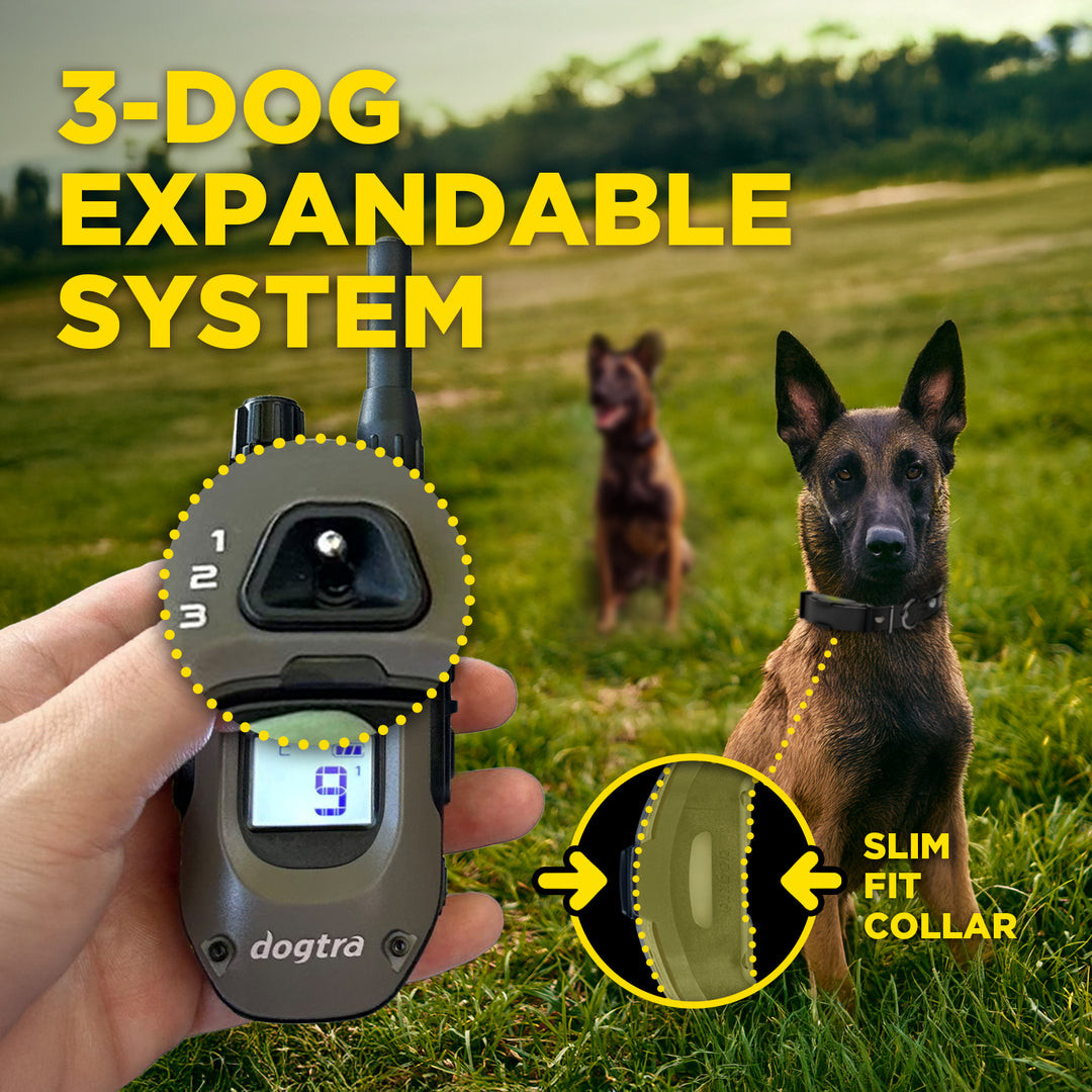 Dogtra ARC-X expandable 3 dog remote training system