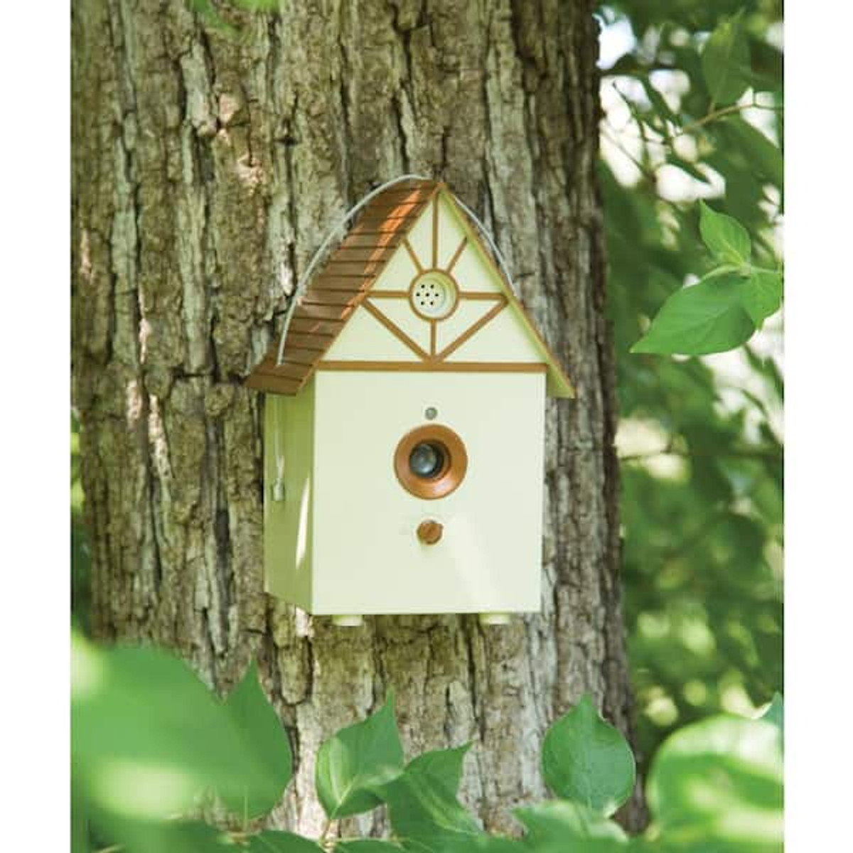 petsafe outdoor bark deterrent