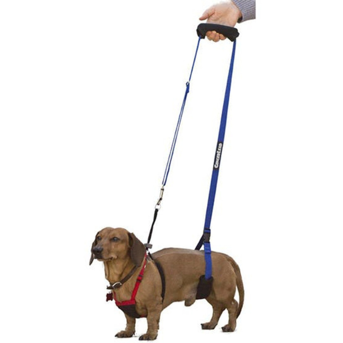 GingerLead Dog Support Sling Rehabilitation Harness