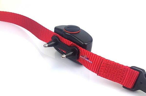 Dogwatch Hidden Fence Collar Dogwatch R9 Receiver DogWatch ® Dog