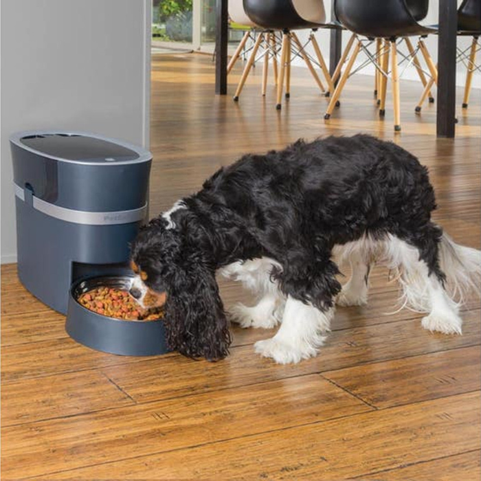 PetSafe Smart Feed Automatic Pet Feeder