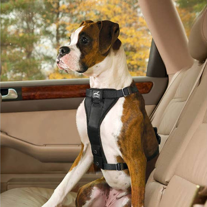 Kurgo Enhanced Strength Tru-Fit Dog Car Harness1