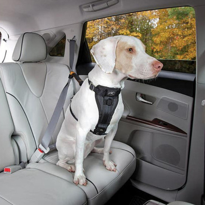Kurgo Enhanced Strength Tru-Fit Dog Car Harness
