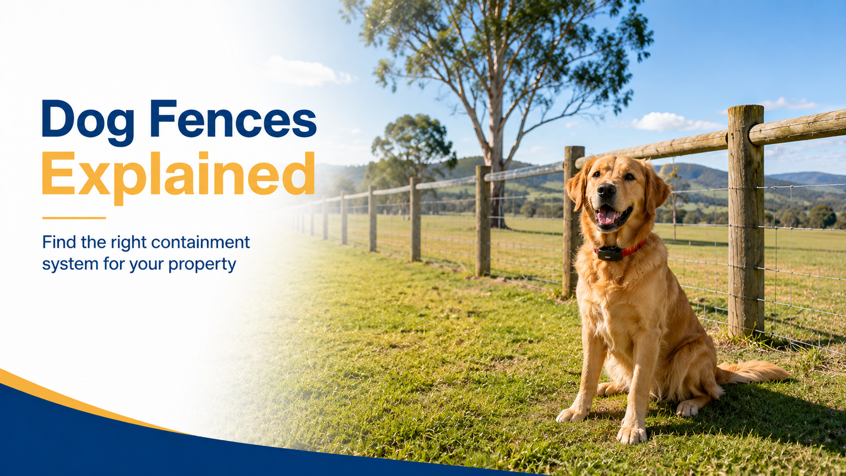 Wired vs Wireless vs GPS Dog Fences: Which System Is Best?
