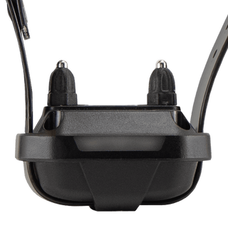Dogtra 280X compact remote training collar side view
