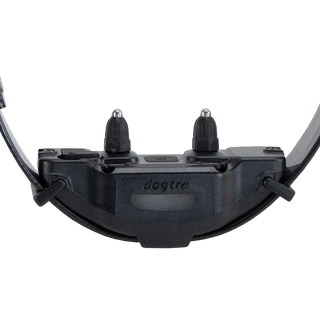Dogtra ARC-X slim remote training collar side view