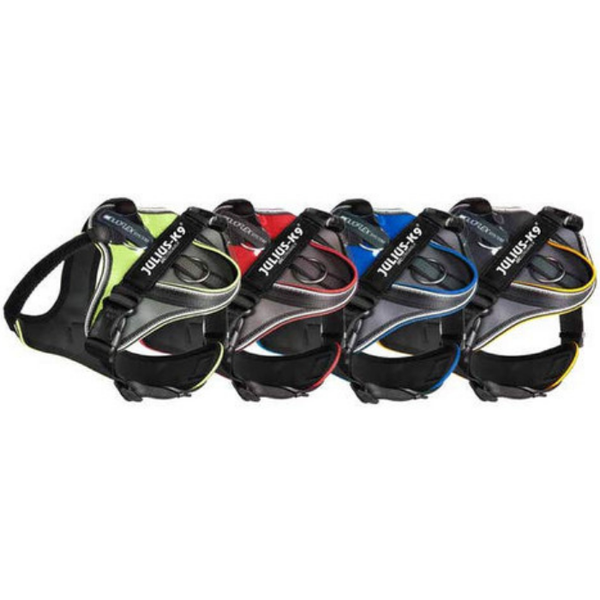 Julius k9 LongWalk Y-Harness