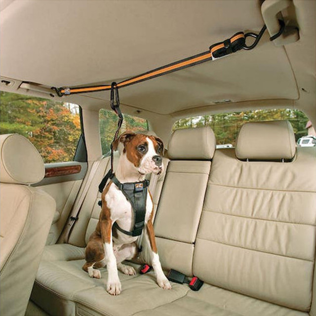 Kurgo Car Door Guard – Autotürschutz gegen Kratzer & Schmutz