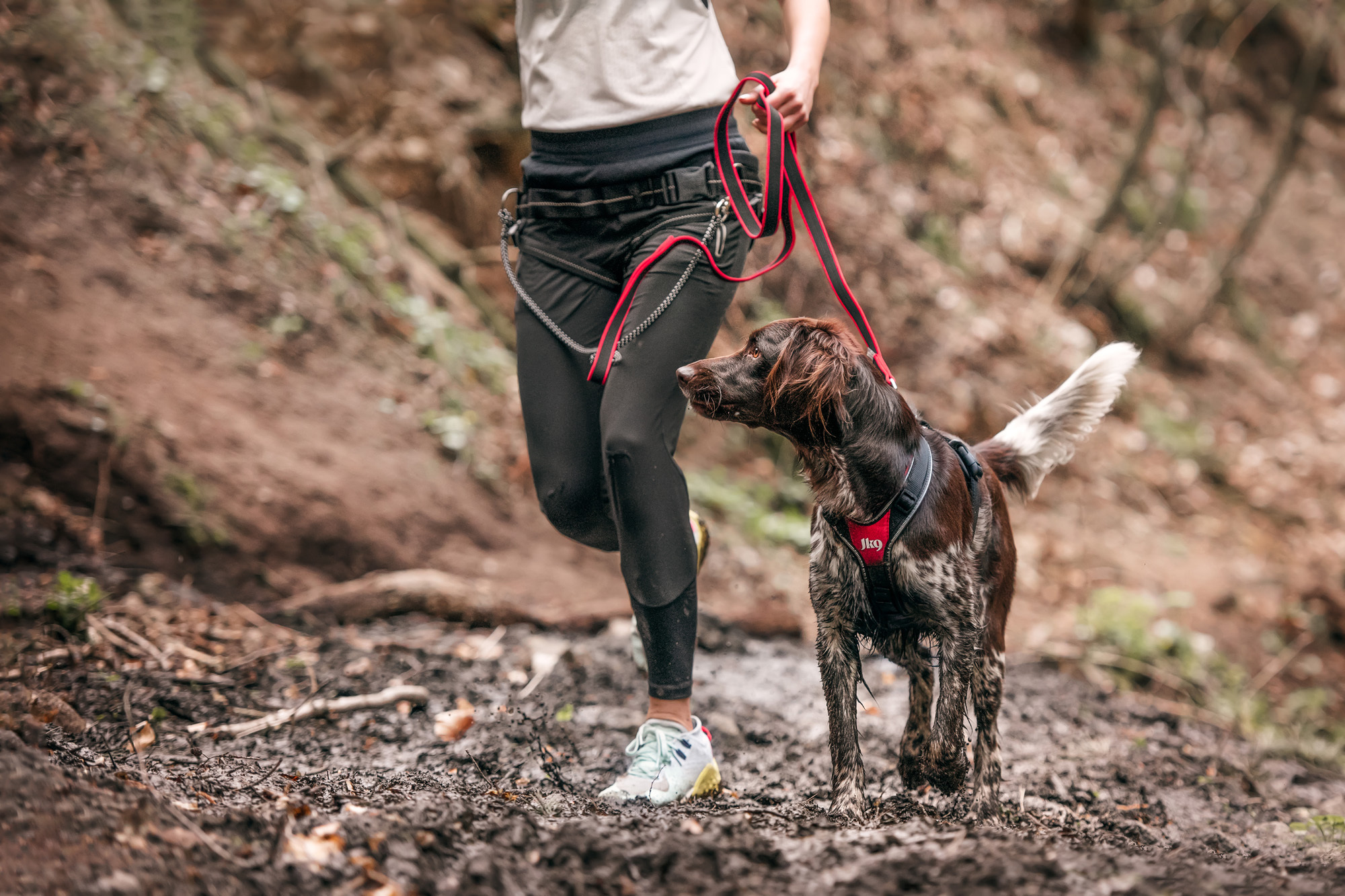 Julius K9 Speed Harness