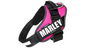 Personalised Dog Harness