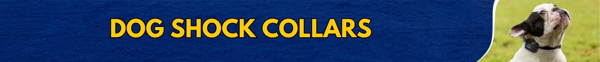 Bark Collars Bark Collars