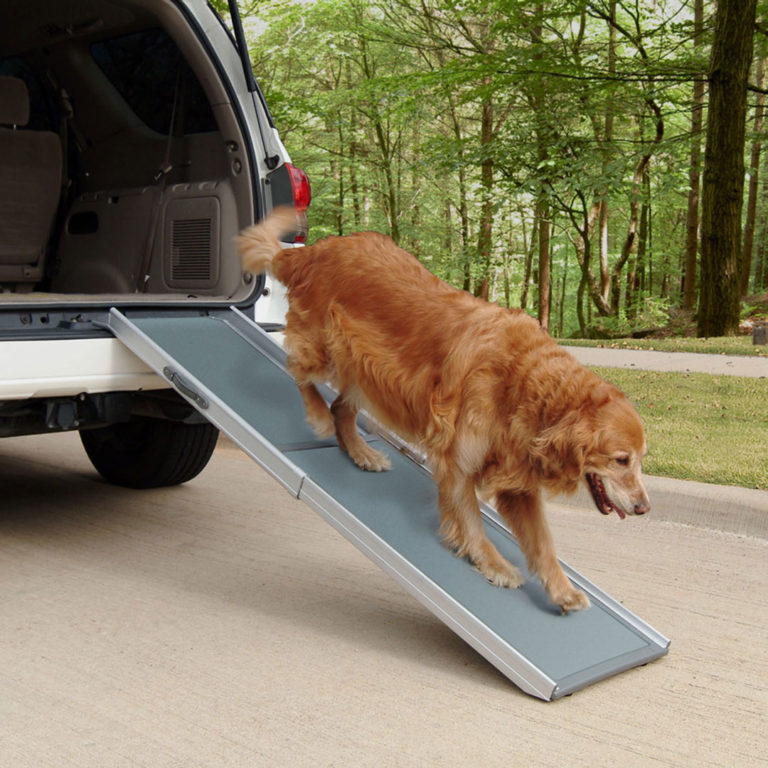 Dog Car Ramps