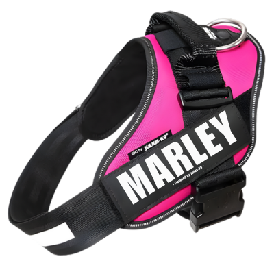 Personalised Dog Harnesses