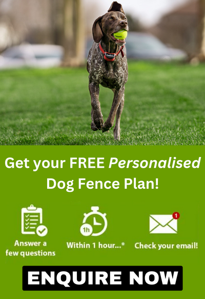 Personalised Dog Fence Plan