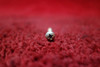 Military Standard Pan Head Machine Screw PN MS35206-250
