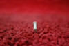 Military Standard Pan Head Machine Screw PN MS35206-250