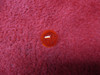     Red Nav/Position Light Lens 