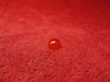  Grimes Red Nav Position  Light Lens 