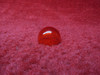    Grimes Red Nav Position Light Lens