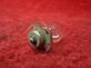 Essi Corp Marine Lamp 120V PN 2374X