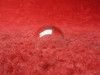 Clear Nav Position   Light Lens