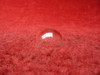Clear Nav Position   Light Lens