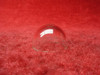 Clear Nav Position Light  Lens